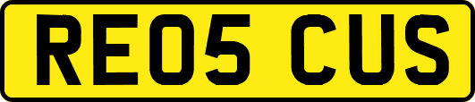 RE05CUS
