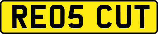 RE05CUT