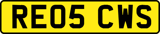 RE05CWS