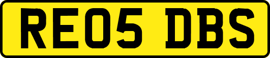 RE05DBS