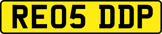 RE05DDP