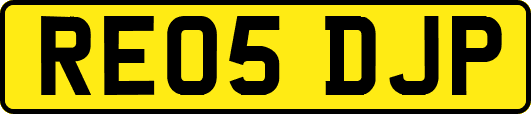 RE05DJP