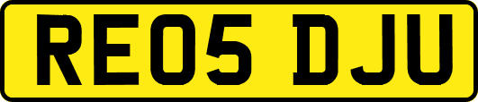 RE05DJU