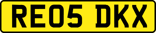 RE05DKX