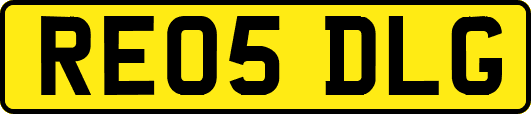 RE05DLG