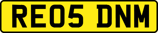 RE05DNM