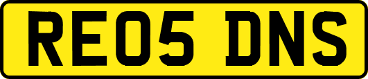 RE05DNS