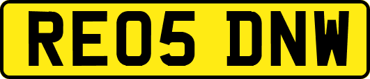 RE05DNW