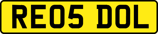RE05DOL