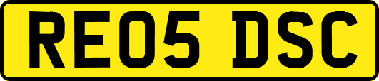 RE05DSC