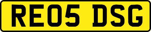 RE05DSG