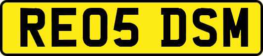 RE05DSM