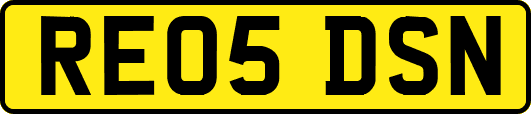 RE05DSN