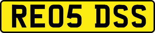 RE05DSS