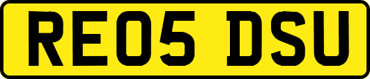 RE05DSU