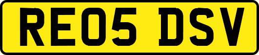 RE05DSV