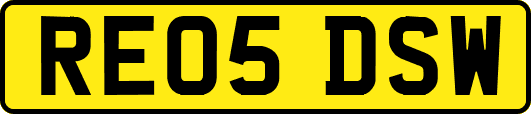 RE05DSW