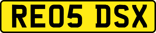 RE05DSX