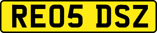 RE05DSZ