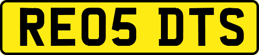 RE05DTS