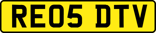 RE05DTV