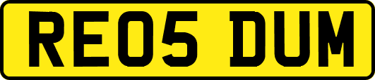 RE05DUM
