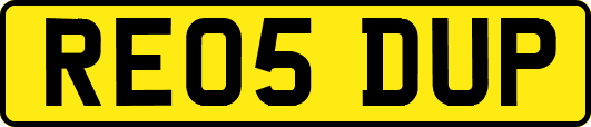 RE05DUP