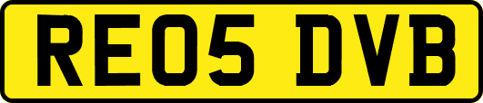 RE05DVB