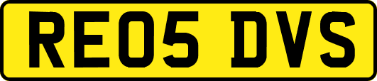 RE05DVS
