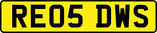 RE05DWS