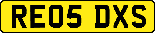 RE05DXS