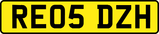 RE05DZH