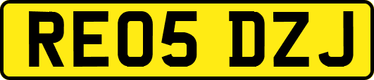 RE05DZJ