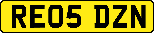 RE05DZN