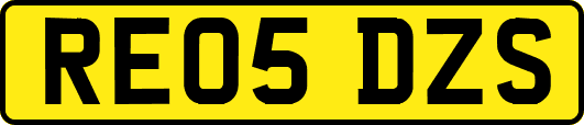 RE05DZS
