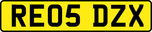 RE05DZX