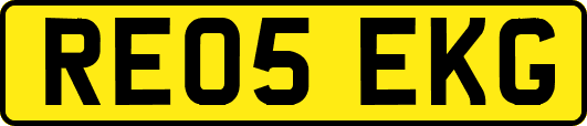 RE05EKG