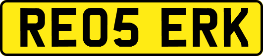 RE05ERK