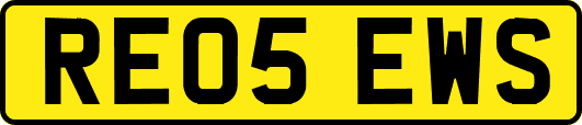 RE05EWS