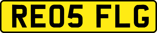 RE05FLG