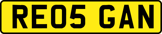 RE05GAN