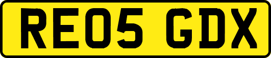 RE05GDX