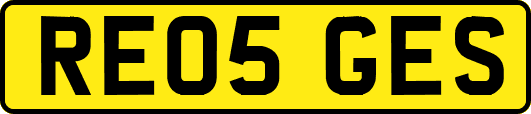 RE05GES