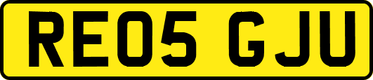 RE05GJU
