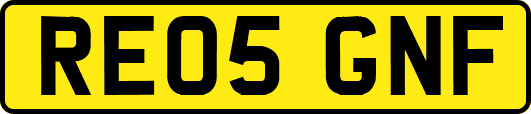 RE05GNF