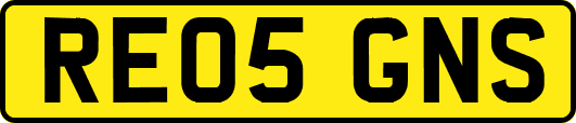 RE05GNS