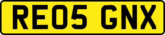RE05GNX