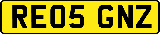 RE05GNZ