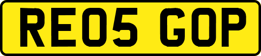 RE05GOP