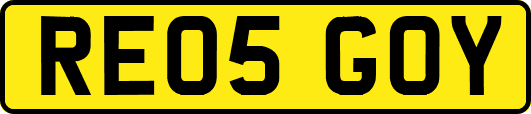RE05GOY